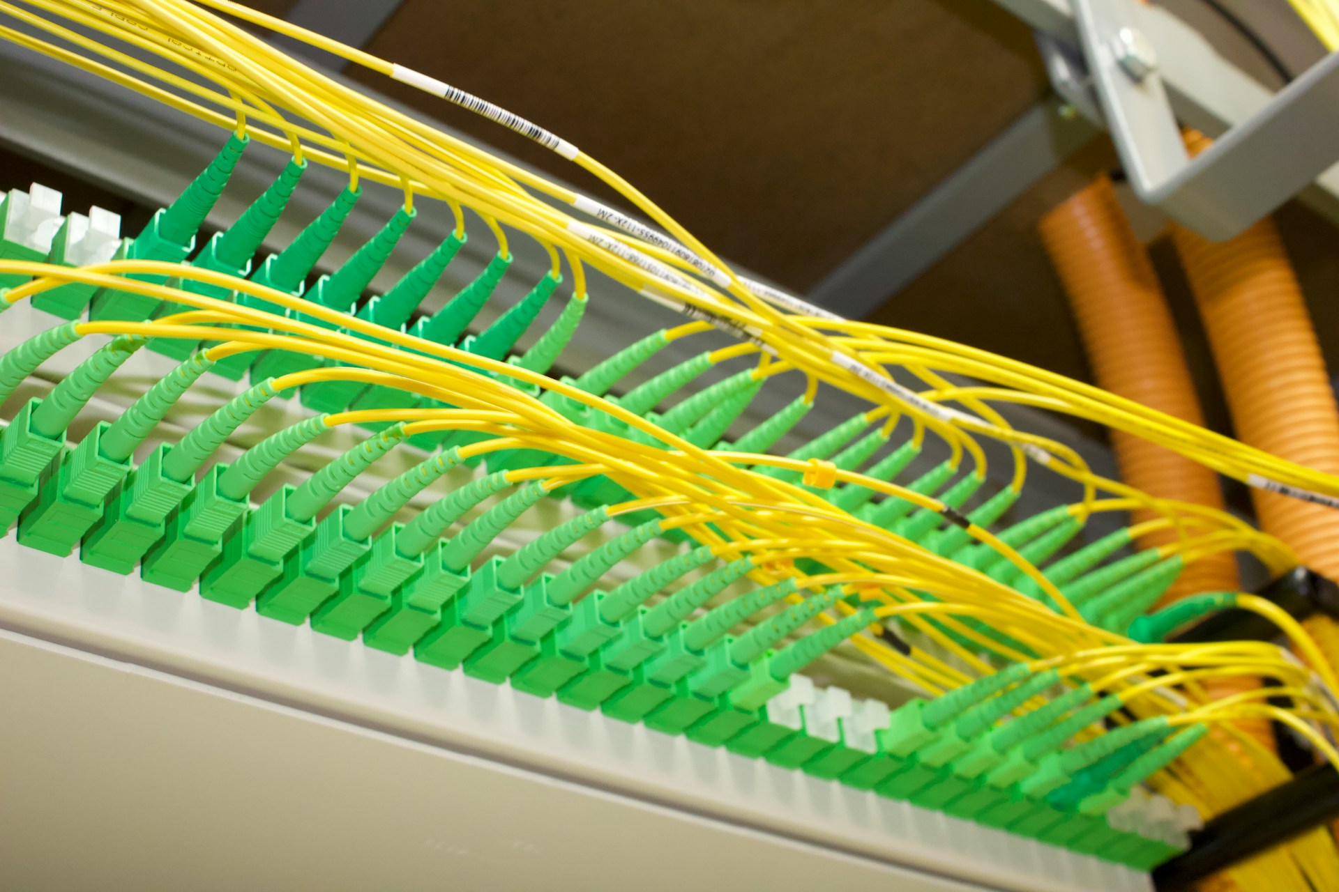 Entwicklung Bandbreite