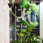 Groß (Nethinks 30 Jahre Feier Werbefotograf Johannes Ruppel-134)